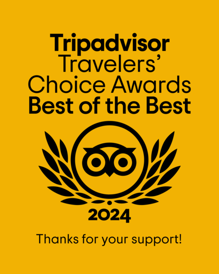 TripAdvisors 2024 Travelers
